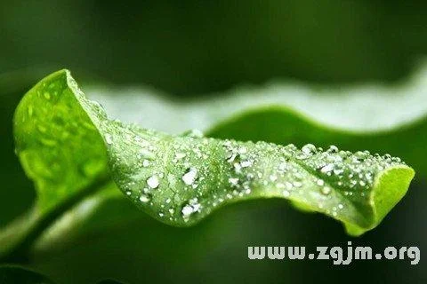 梦见老公被雨淋湿是什么意思_2