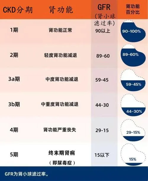 gfr计算公式正常人适用_1