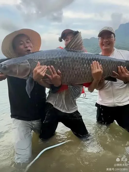 梦见抓好多鱼了_2