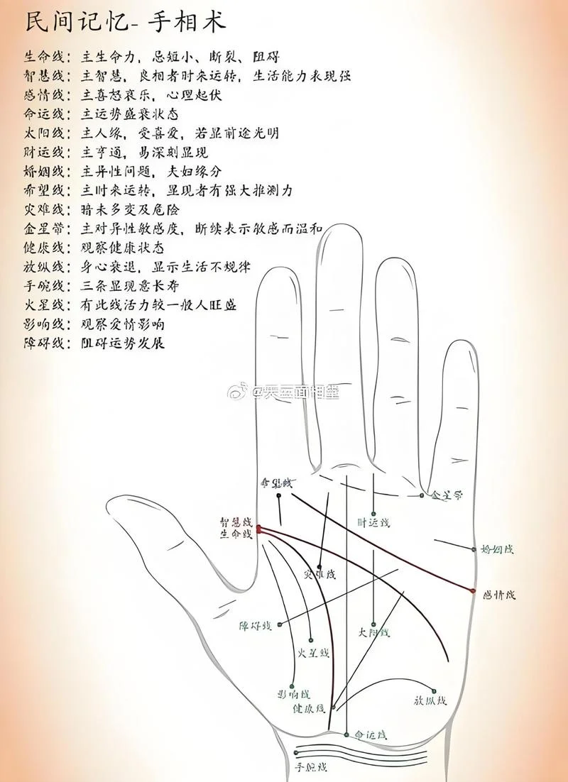 没有太阳线的手相图解_2
