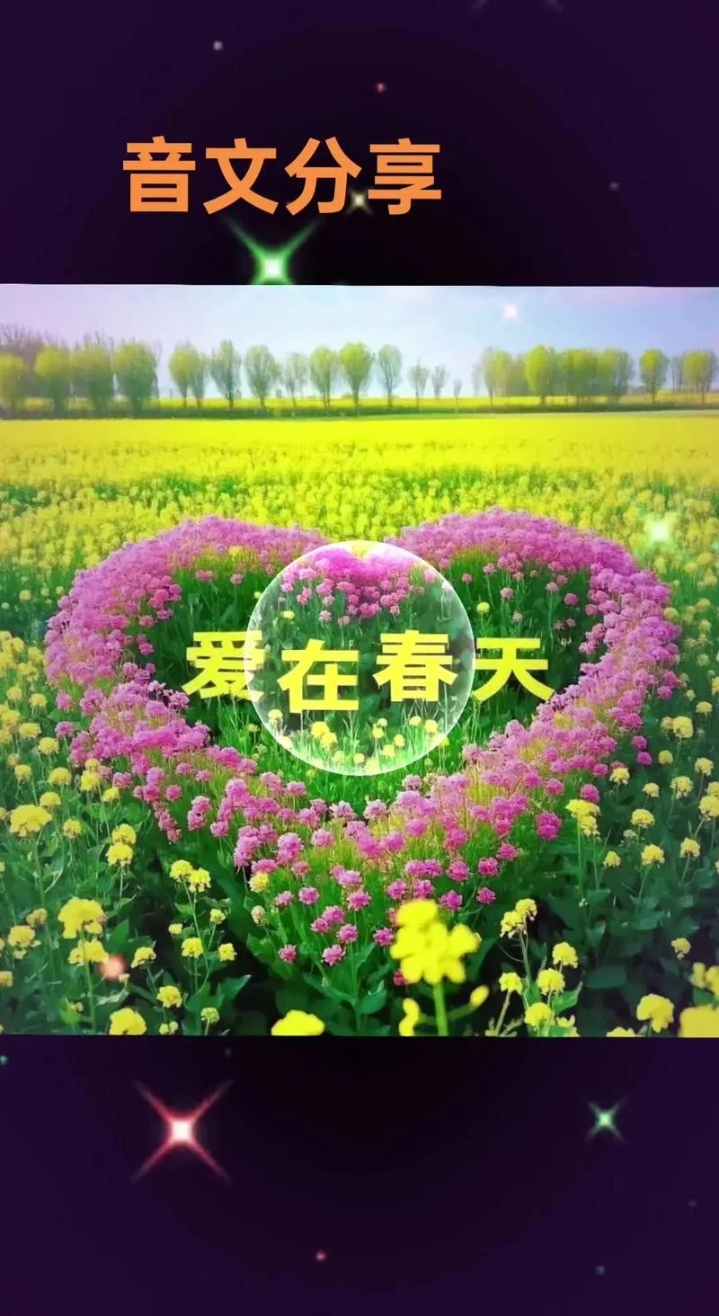 爱在春天里大结局_1