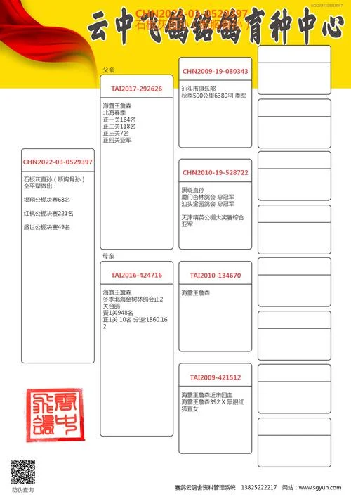 信鸽回血提纯黄金公式_1