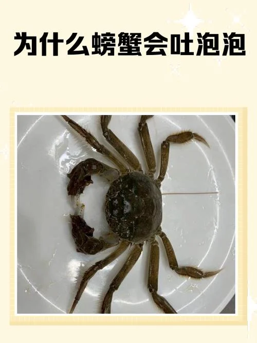 梦见很多螃蟹是什么预兆-梦到螃蟹预示吉凶