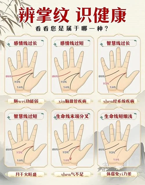 手相怎么看子女多少_2