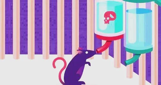梦见自己踩死老鼠是什么预兆_1