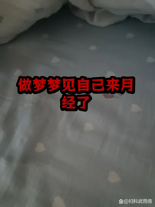 梦见一堆带经血的纸_1