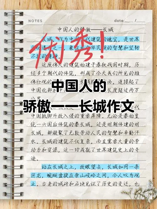 中国大历史读后感450字-大历史读后感