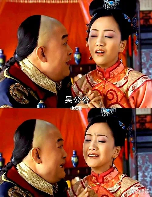 宫斗群宫斗剧情内容_1