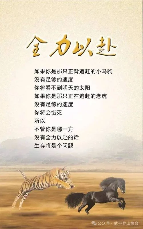中国正能量的文案_1