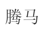 腾马科技公司简介-腾马科技简介