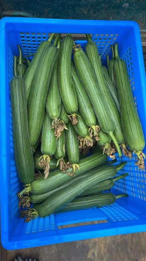 欢迎访问我的博客