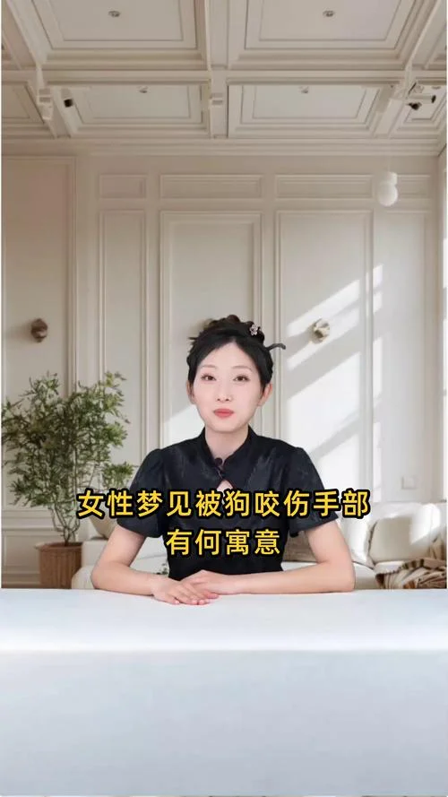 做梦梦见狗咬人_2