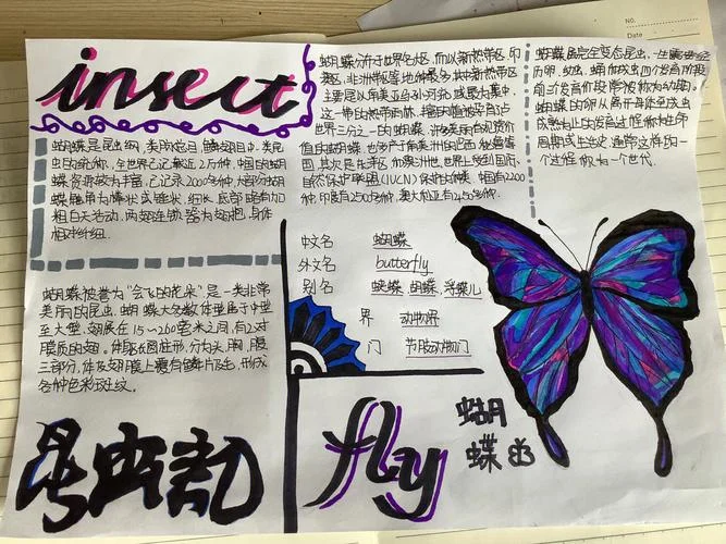 昆虫记手抄报一等奖_1