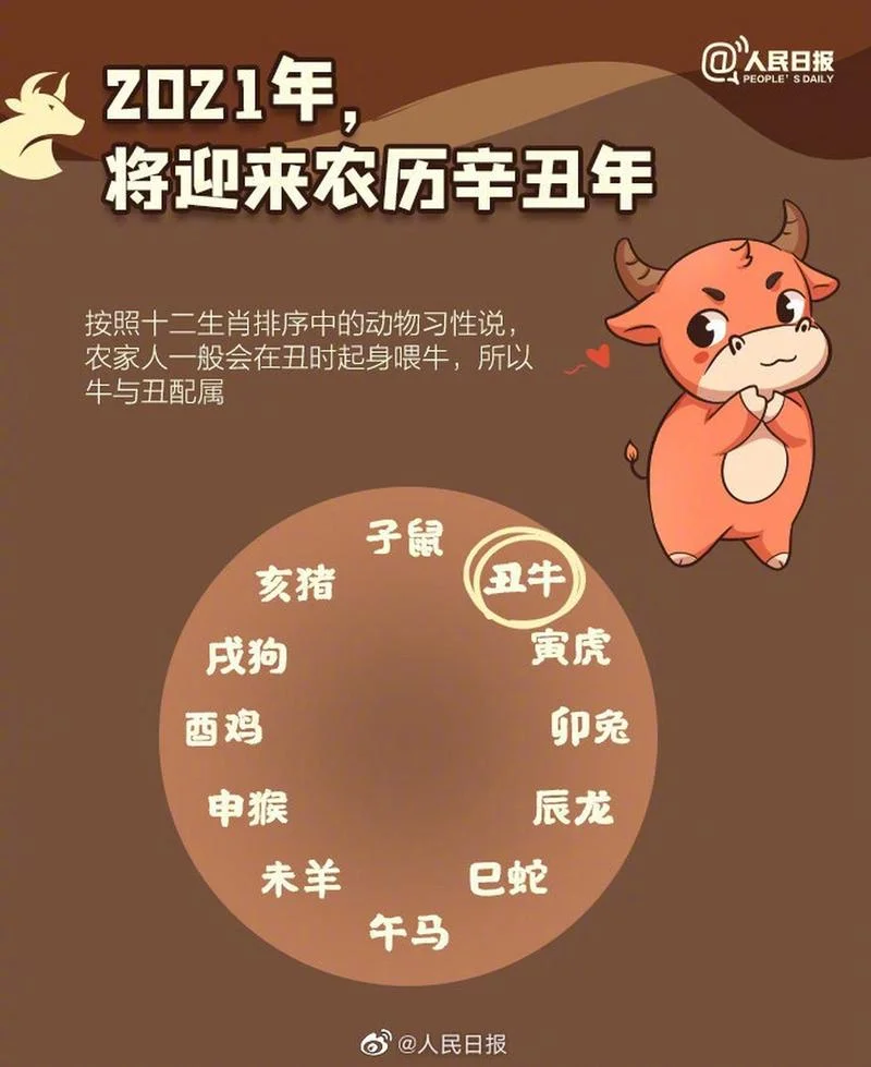 牛年是哪年农历_2