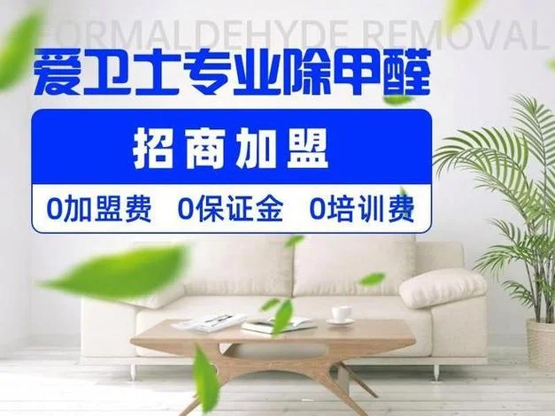新居除甲醛公司哪个公司好_1