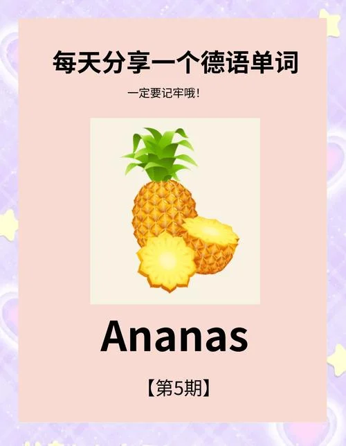梨的英语怎么写啊_2