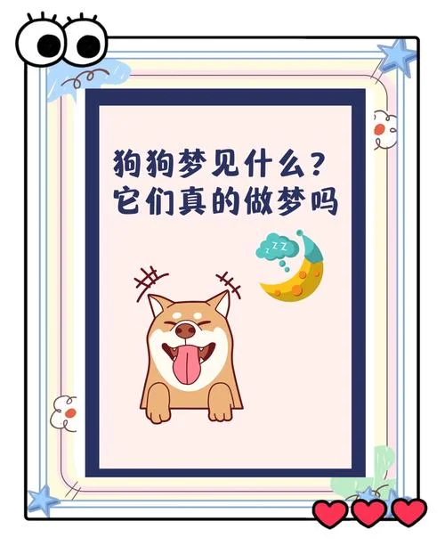 梦见自己收养狗_2