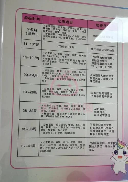产检项目和费用_1