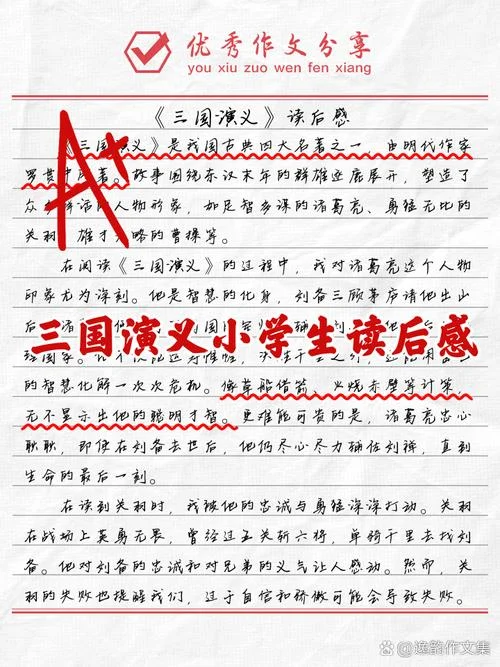 三国演义读后感怎么写400字-100 字读后感