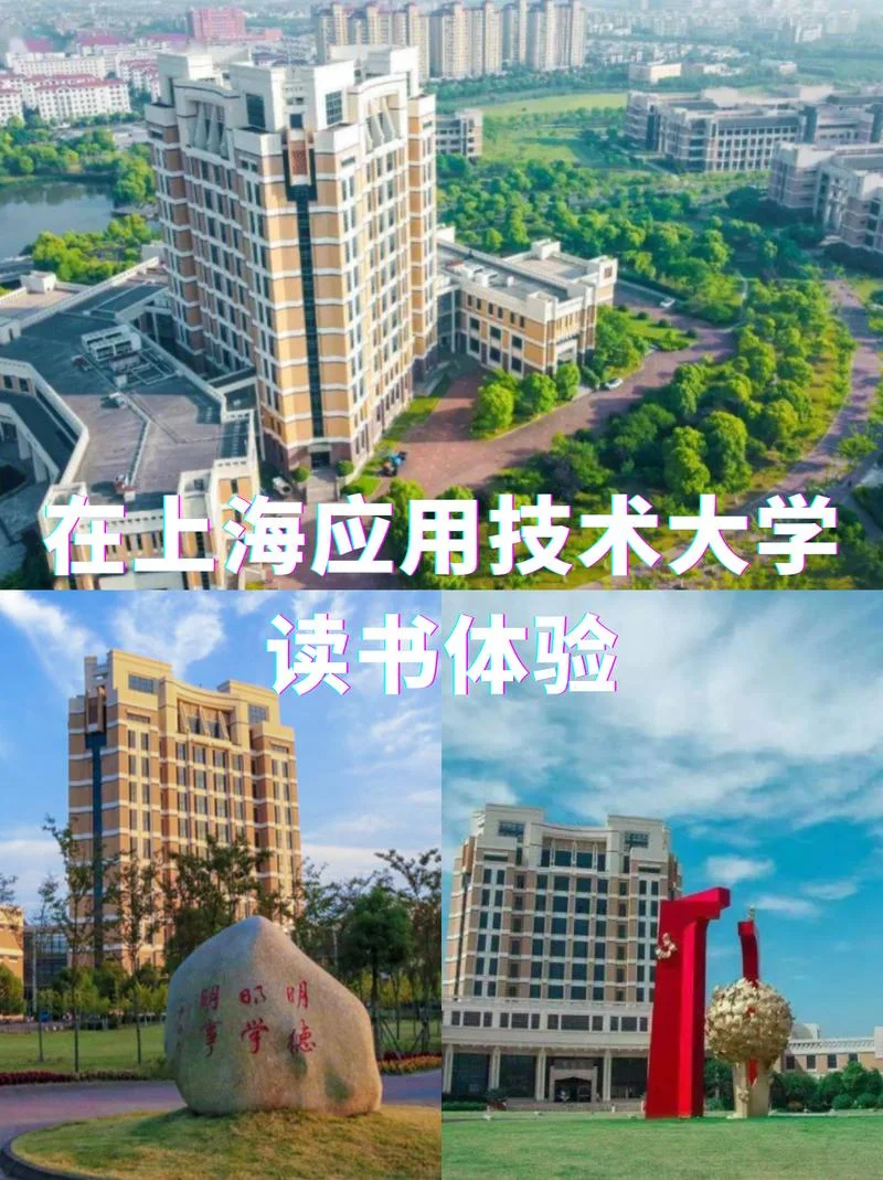 上海应用技术大学专升本_1