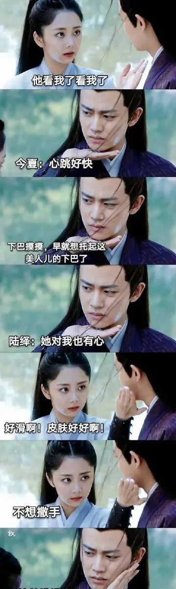 情窦初开下一句是什么_1