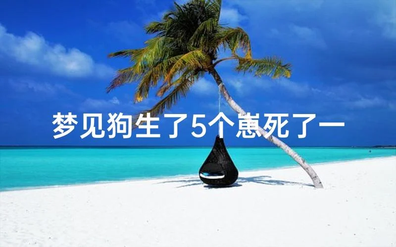 梦见别人家狗死啦_1