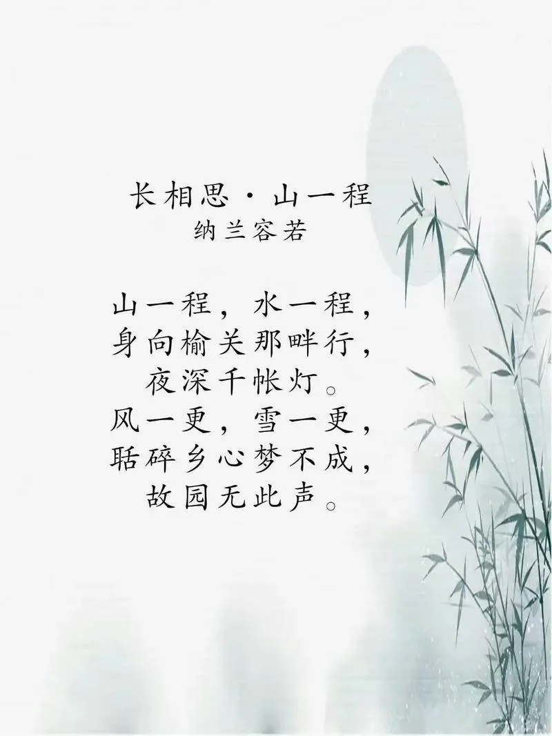 长相思作者是谁_2