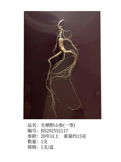 山参证书编号查询_2
