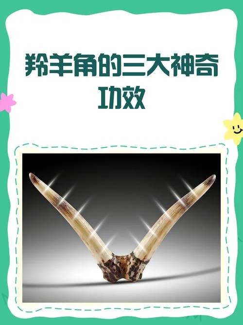 羚羊角多少钱_2