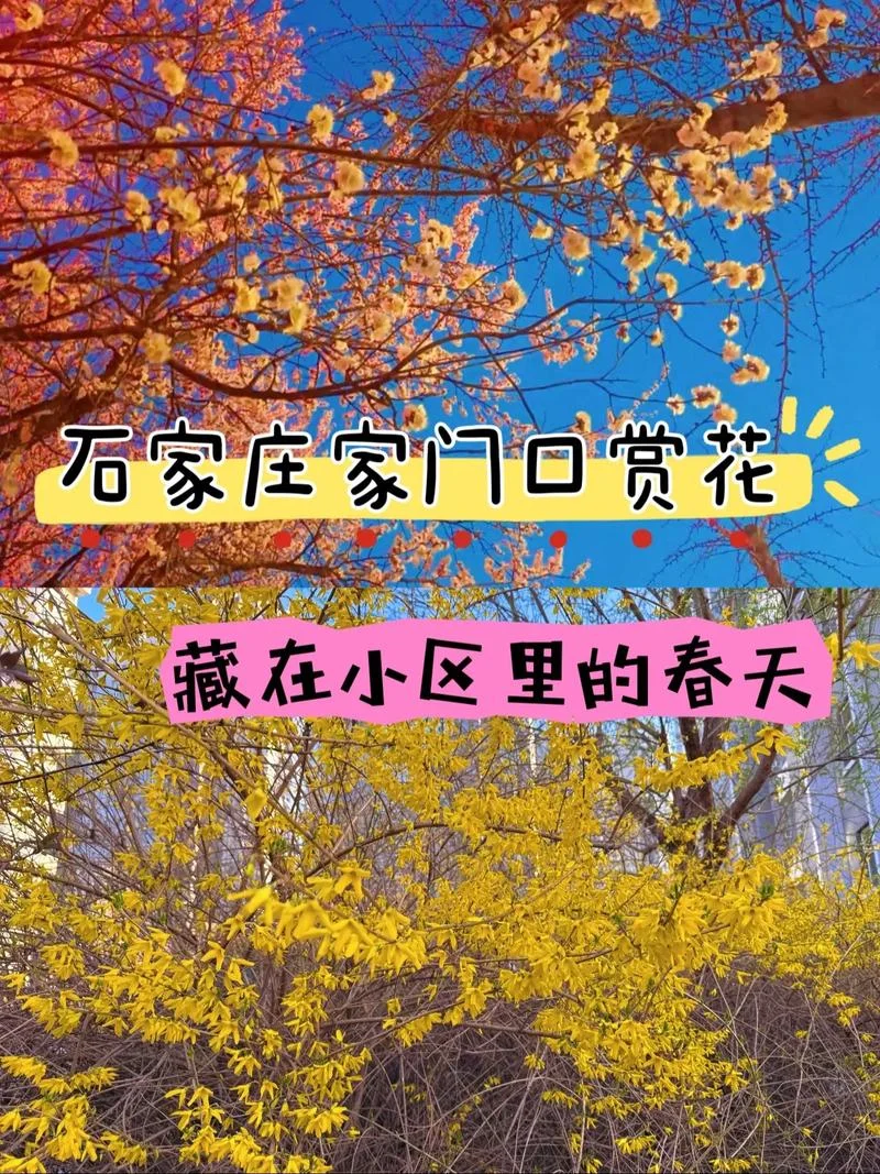 春天是几月开始的_1