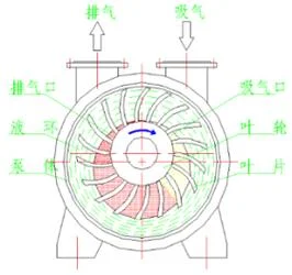 水循环真空泵工作原理图-水循环泵原理图