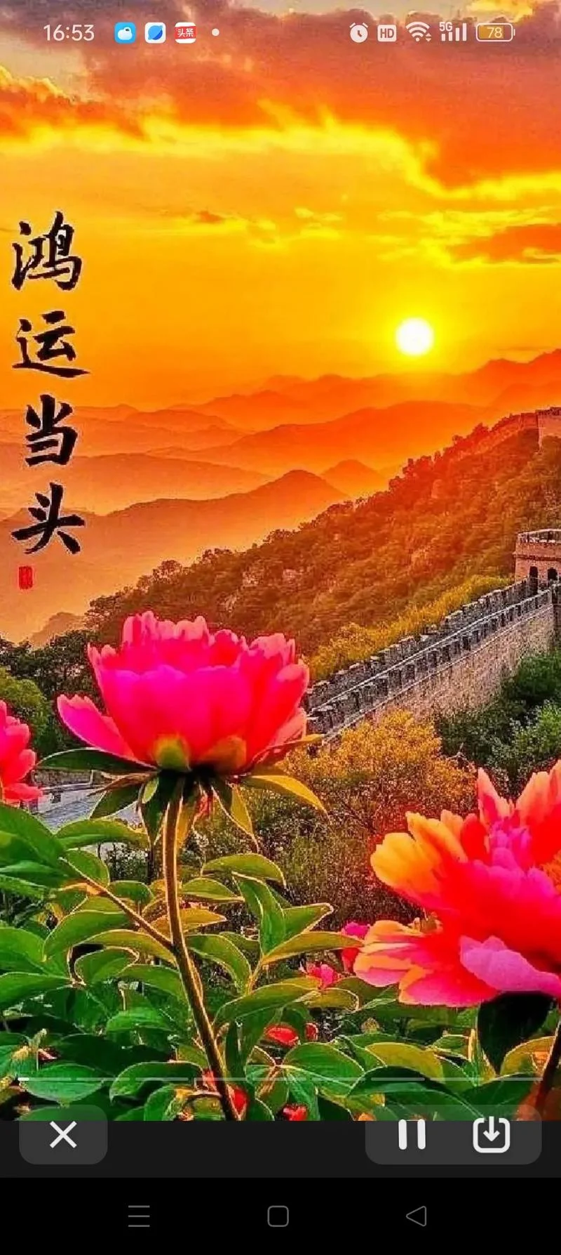 旭日东升什么意思_1