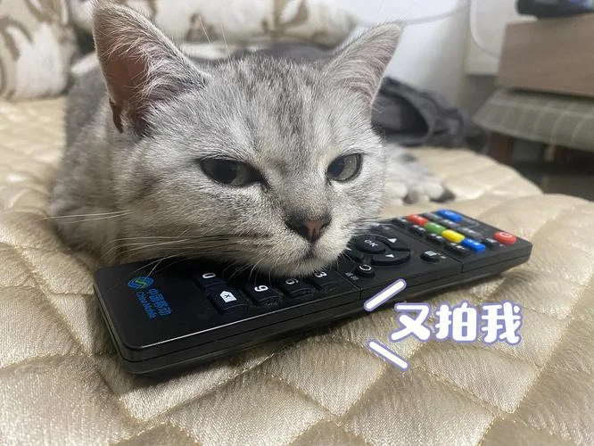 梦见遥控器没电了_2