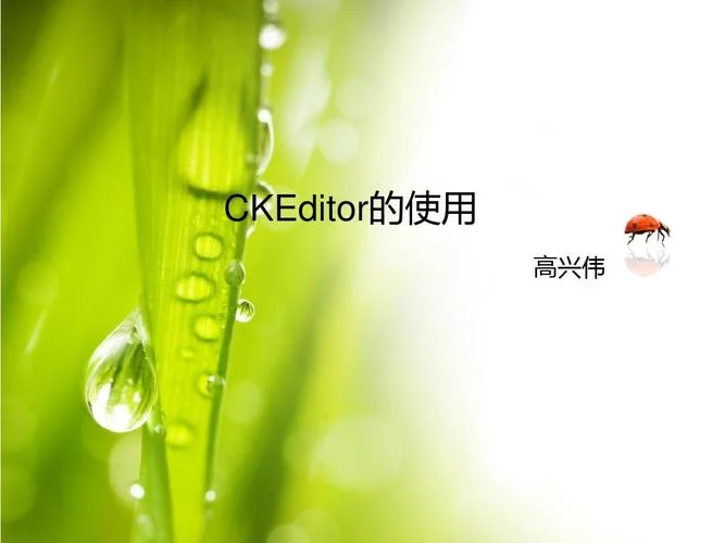 ckeditor公式_2