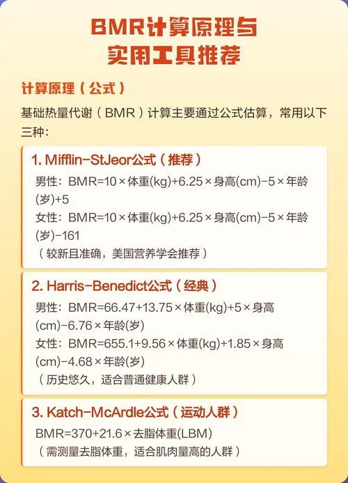 bmr计算公式和标准_2