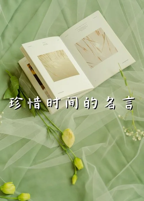 光阴似箭的下一句是啥_1