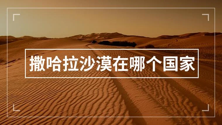 撒哈拉沙漠有哪个国家-撒哈拉沙漠无国可居