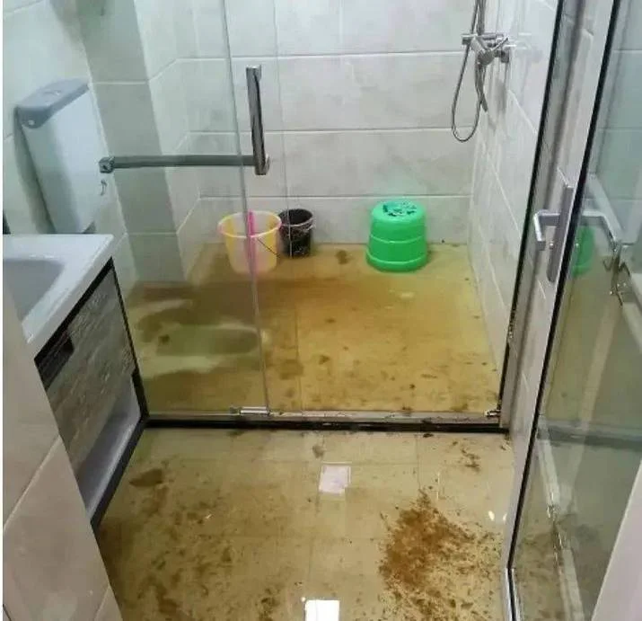 梦见厕所堵了满地粪水_2