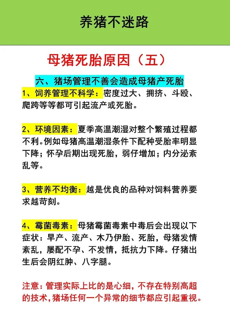 孕妇梦见死猪预示什么_2