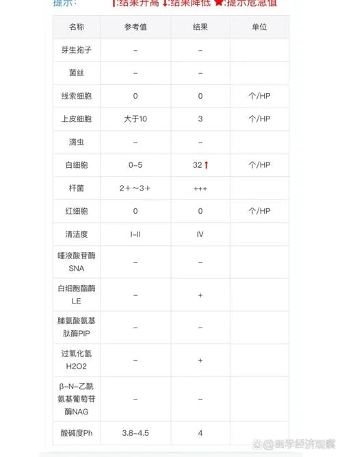 长沙白带常规检查项目-长沙白带常规检查