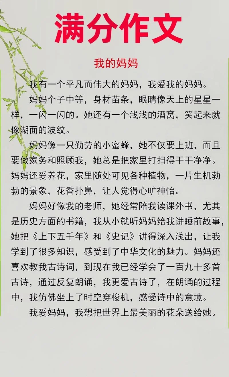 写妈妈的作文500字左右_1