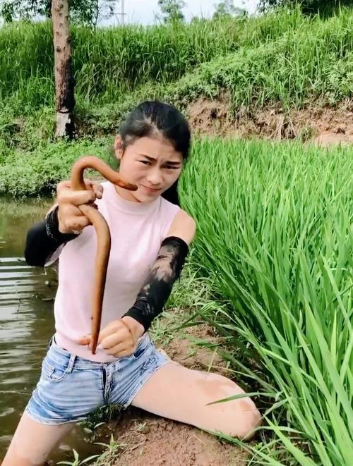 孕妇梦见抓鱼抓黄鳝_1