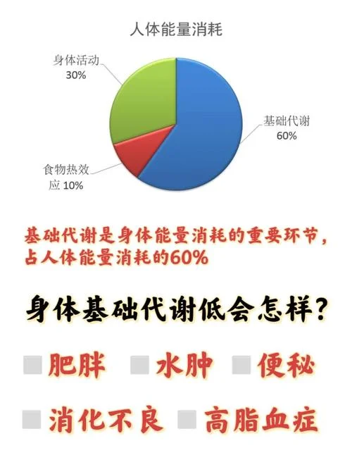 基础代谢率的计算公式_1