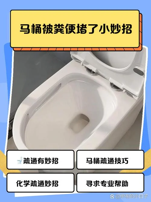 梦见马桶堵了_1