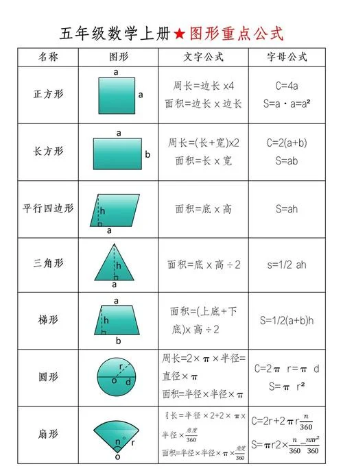 面积公式小学五年级_1
