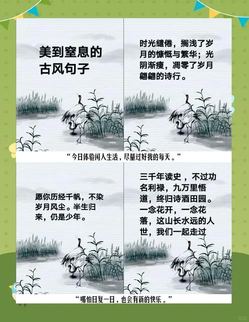 万年长青上一句_1