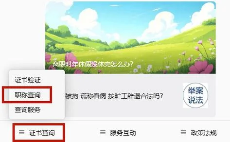 职称证书查询官网入口_2
