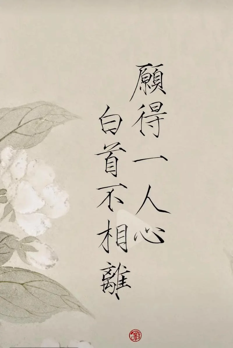 白头不相离上一句-白头不相离上一句
