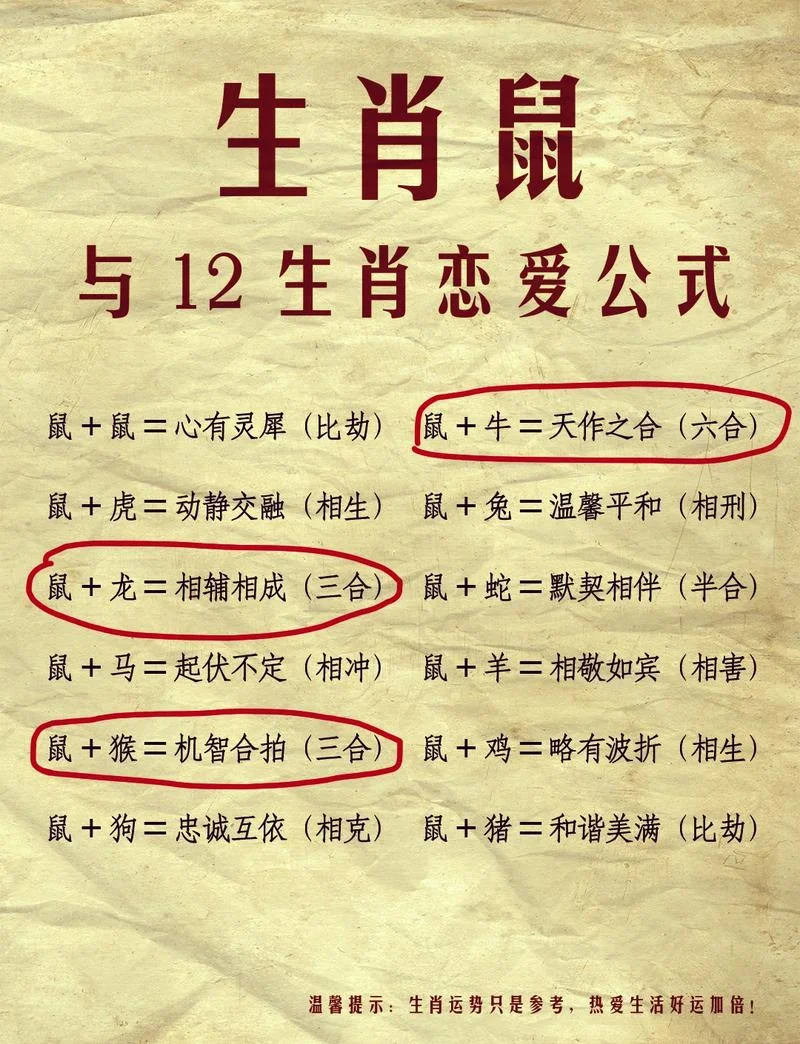 属鼠多大成年_1