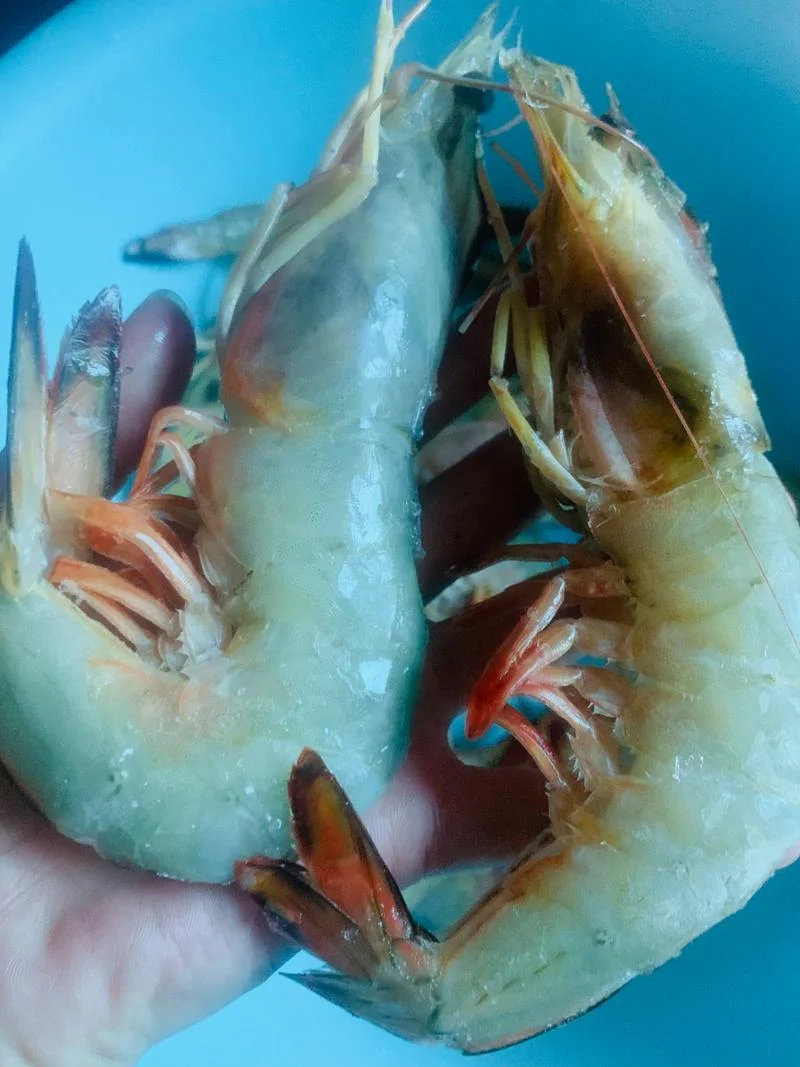 海虾多少钱一斤_1
